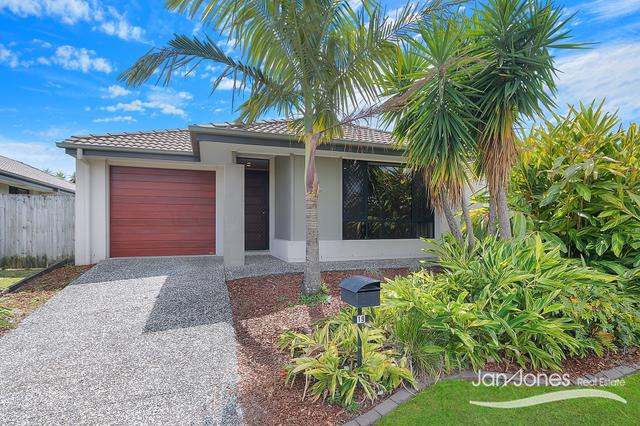 19 Livingstone Ct, QLD 4509