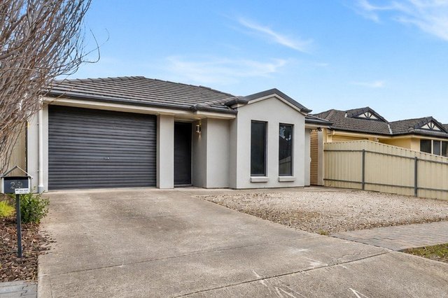 29 Gaelic Avenue, SA 5088