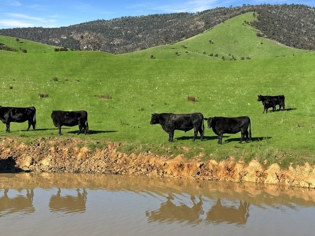 LOT 2 ON PS716983N L J Dawson Road, VIC 3469