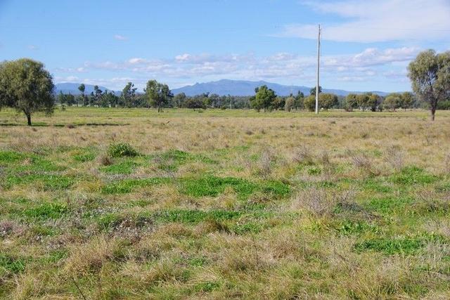57 Kaputar Road, NSW 2390
