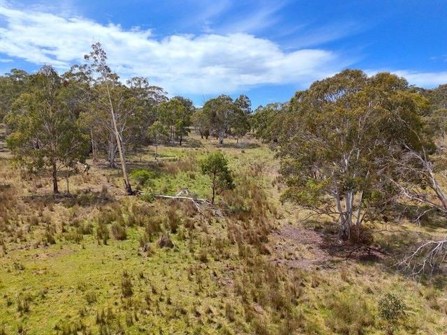 2515 Nullo Mountain Road, NSW 2849