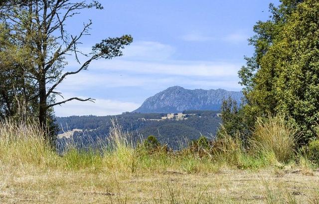 779 Cradle Mountain Road, TAS 7310