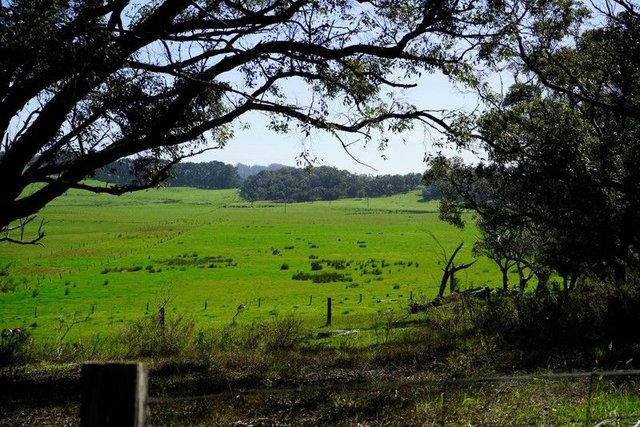 30 Rutherhill Rd, WA 6330