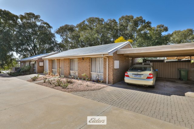 5/221-223 Adams Street, NSW 2648