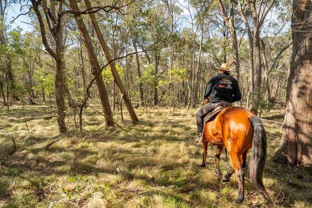 . Firebrace Track, VIC 3700