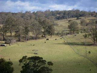 Land/view (2009-09-29)