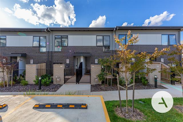 13/20 Greenwood St, ACT 2611