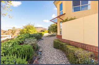 Frontyard