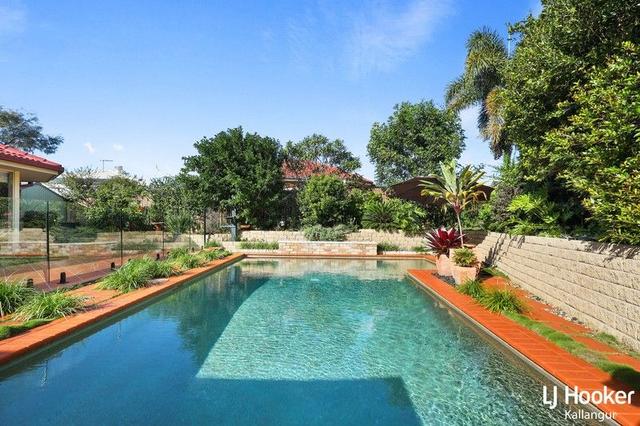 17 Raffindale Avenue, QLD 4503