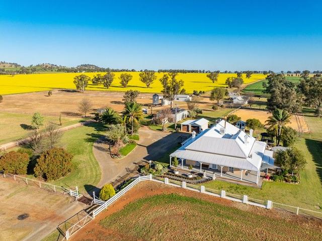 739 Rivers Road, NSW 2804