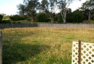 Rear yard (2008-10-02)