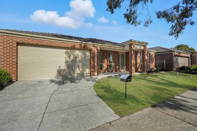20 Domino Way, VIC 3976