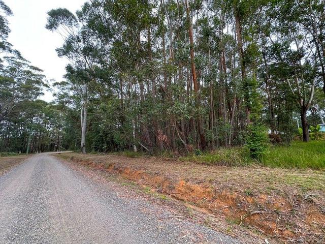 21 Currong Street, QLD 4184