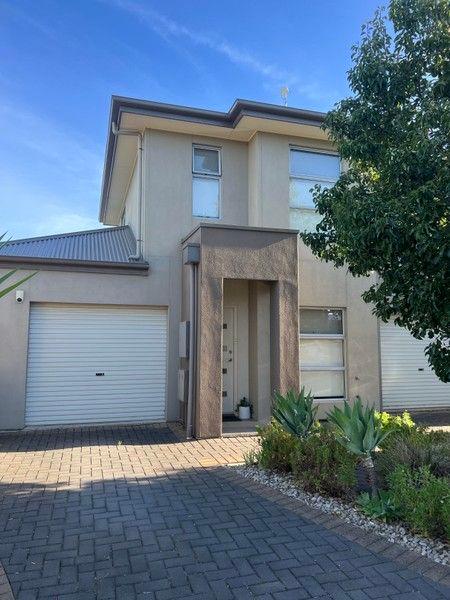 35 Lanark Avenue, SA 5043