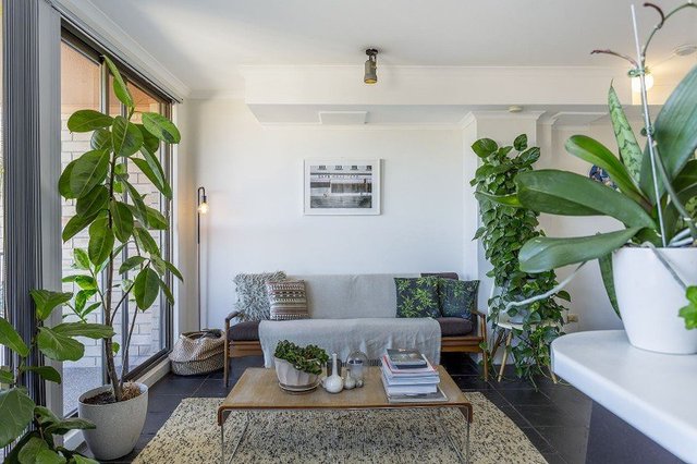 66/2 Goodlet Street, NSW 2010