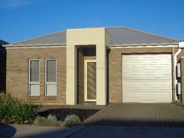 41 Douglas Street, SA 5025