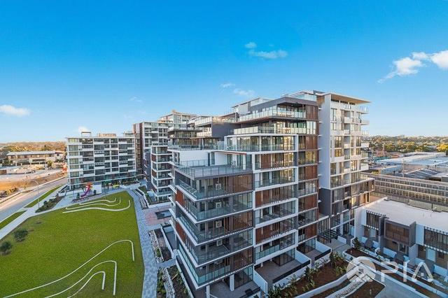 101/3 Garrigarrang Avenue, NSW 2217