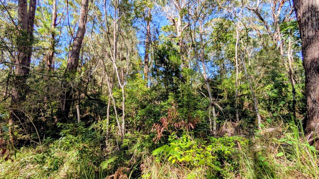 14 Borrows Street, QLD 4184