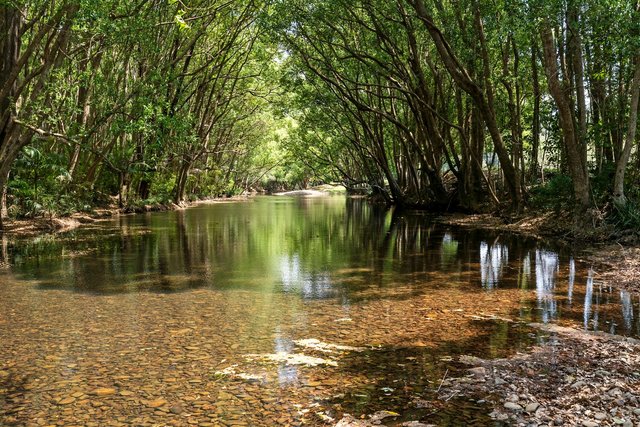 981 Numinbah Road, NSW 2484