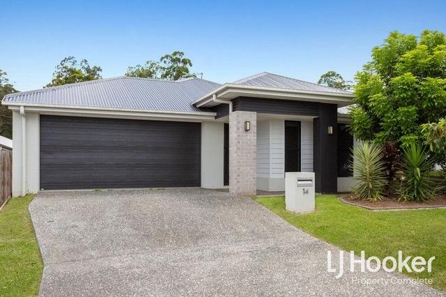 14 Rosewood Circuit, QLD 4207