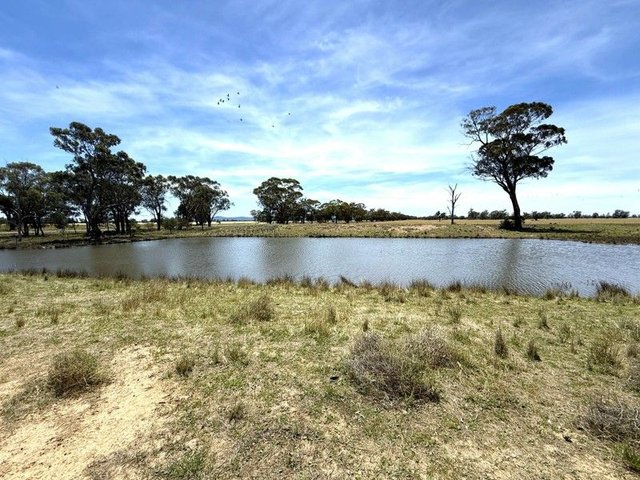 1539 Bland Road, NSW 2721