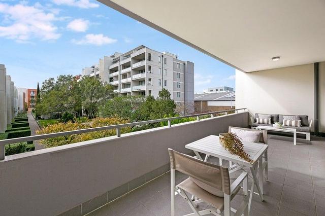 7/37 Morley  Avenue, NSW 2018