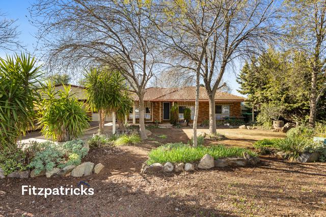 3 Bristol Street, NSW 2650