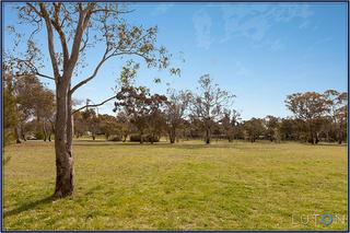 Backing nature reserve