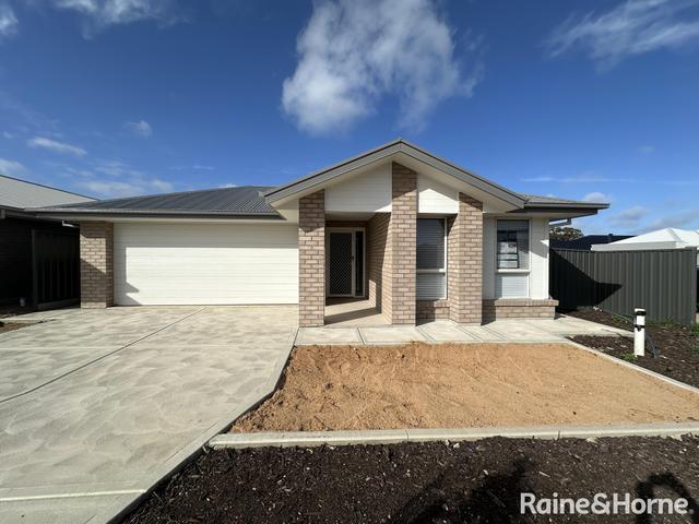 27 Badman Street, SA 5115