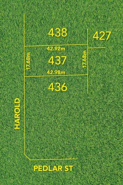 7 Harold Street, SA 5023