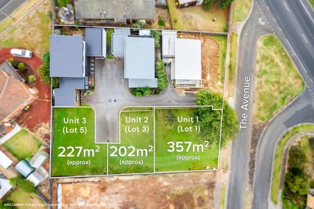 1, 2  & 3/45 The Avenue, VIC 3216