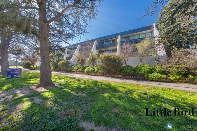 7/8 Giles Street, ACT 2603