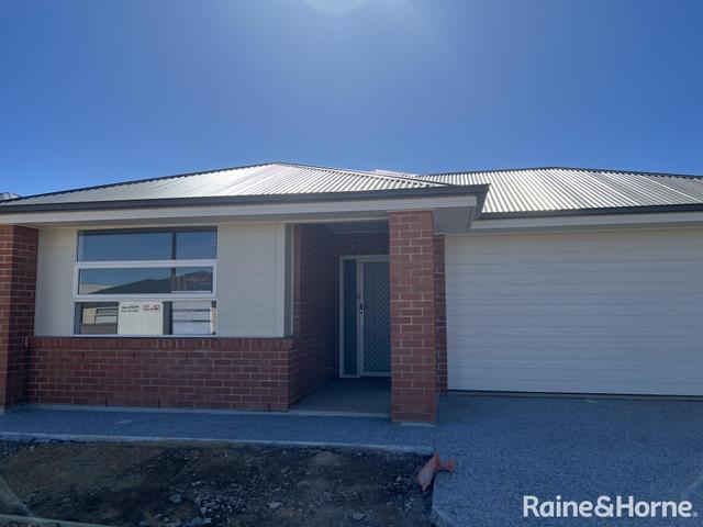 31 Cyclops Street, SA 5115