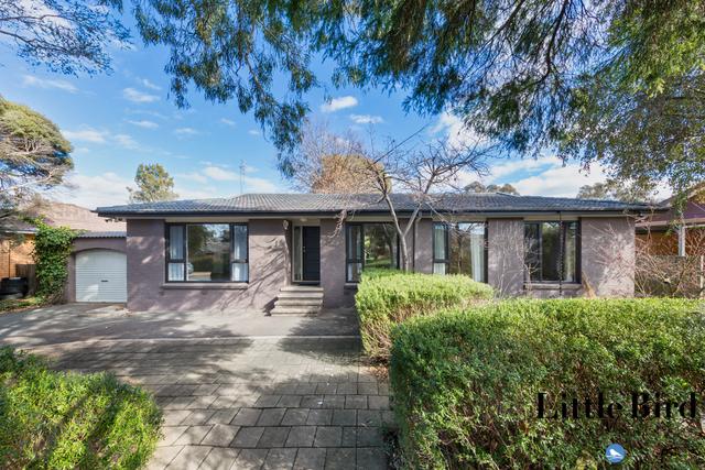 43 Castley Circuit, ACT 2902