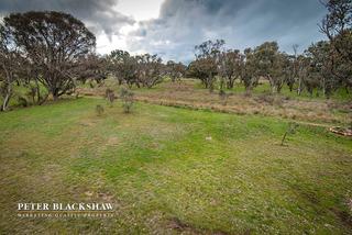 Extensive nature reserve opposite 