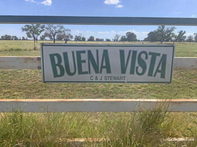 465 Bourbah Rd "Buena Vista", NSW 2827