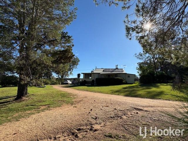 95 Copeton Dam  Road, NSW 2360