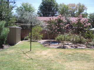 Backyard (2009-02-26)