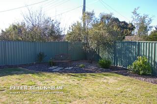 Backyard (2012-08-09)
