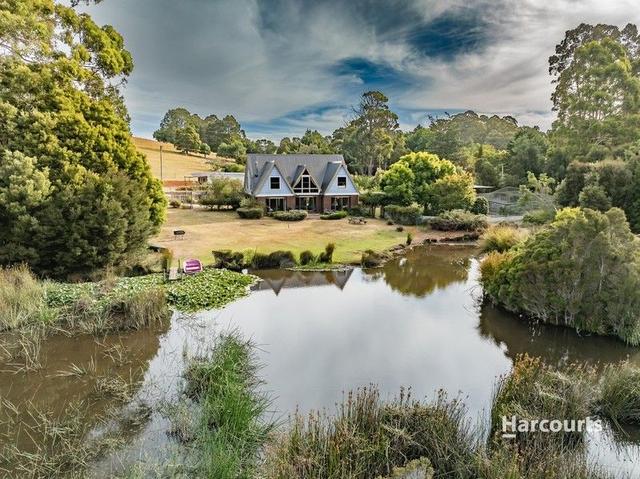 20 Edward Street, TAS 7322