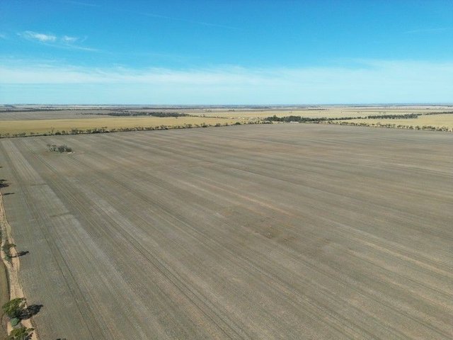 Sec 2W Barunga Road, SA 5560