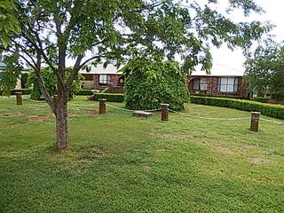 Frontyard (2018-11-12)