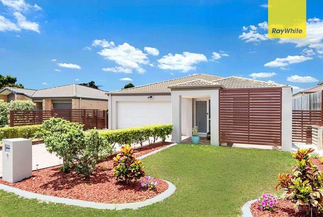 12 Budawang Street, QLD 4115