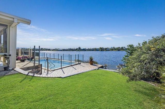 43 Wedgebill Parade, QLD 4220