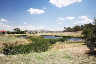 Nearby Pond