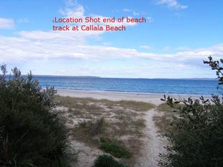 Callala Beach track 