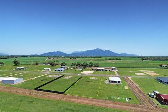 16 Phillips Court, QLD 4850