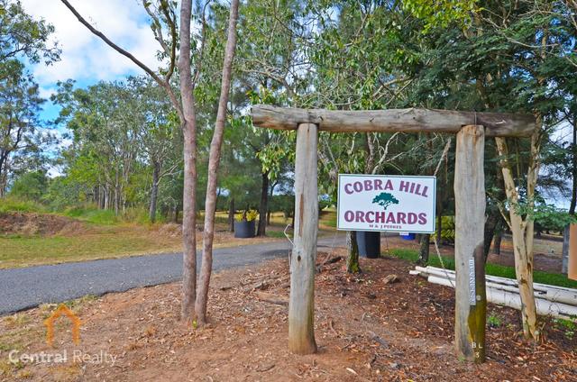 50 Cobra Road, QLD 4880