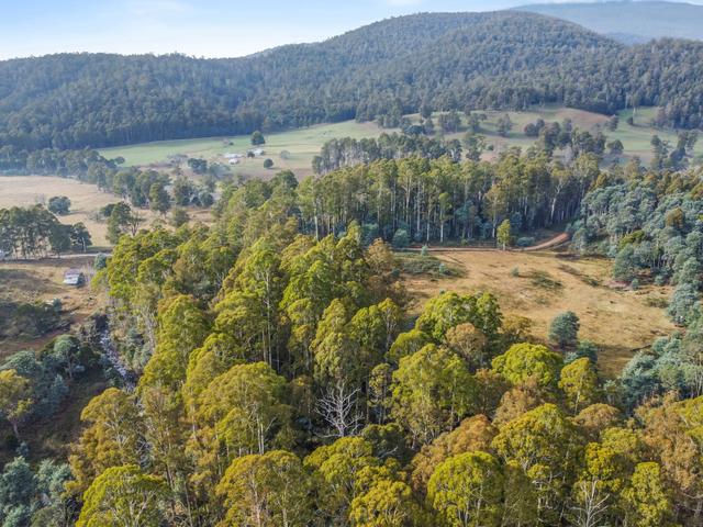 Old Gads Hill Road, TAS 7304