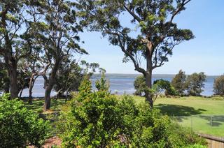 Looking Over the Reserve